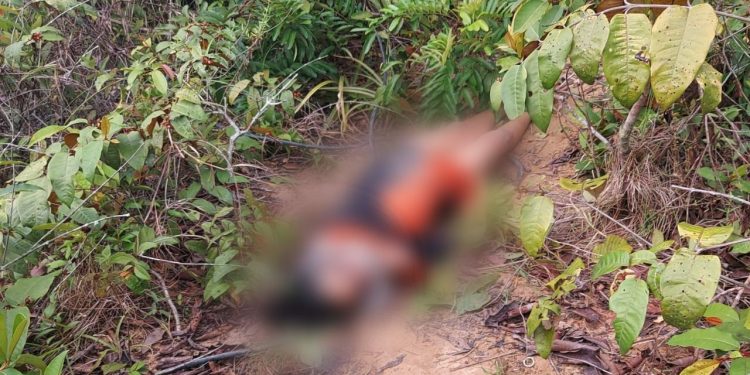 Mulher é assassinada e encontrada amordaçada e amarrada com sutiã em Manaus