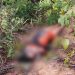 Mulher é assassinada e encontrada amordaçada e amarrada com sutiã em Manaus