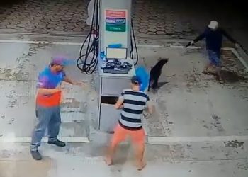 Cachorro enfrenta três bandidos e salva frentista durante assalto em Manaus; veja vídeo