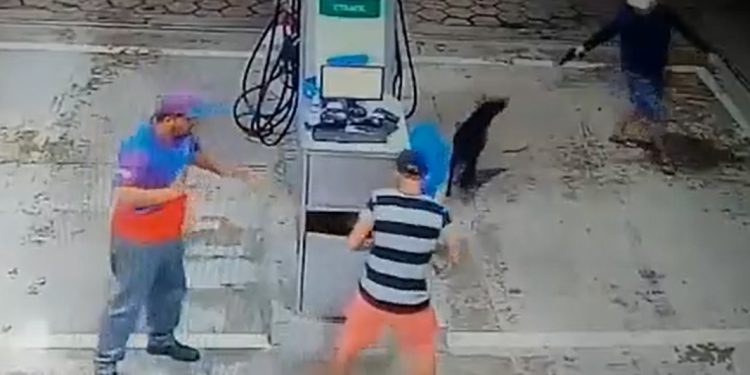 Cachorro enfrenta três bandidos e salva frentista durante assalto em Manaus; veja vídeo