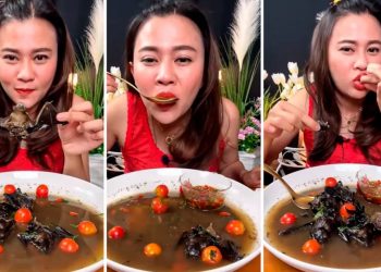 Vídeo: influenciadora digital é presa por ensinar a comer “caldeirada de morcego” no YouTube