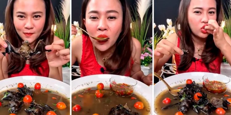 Vídeo: influenciadora digital é presa por ensinar a comer “caldeirada de morcego” no YouTube