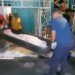 Jovem é assassinado enquanto enfeitava a rua para a Copa, em Manaus