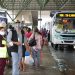 Prefeitura reforça frota de ônibus em Manaus nos dias de jogos da Seleção