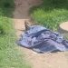 Jovem de 18 anos é baleado e morto no Prosamim da Raiz