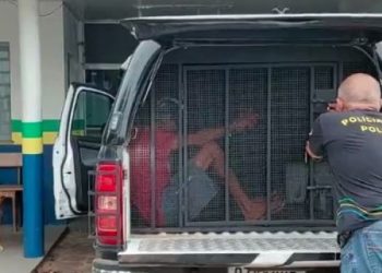 Cachorro é espancado a pauladas até a morte e agressor é preso no Amazonas