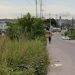 Homem é encontrado amarrado e agonizando na AM-010