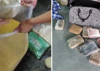 No flagra! Drogas tipo skunk são apreendidas em sacos de farinha do Porto de Manaus