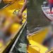 Vídeo: Corpos são resgatados de lago com sinais de enforcamento próximo de garimpo no AM