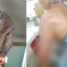 Homem quase tira pedaço do braço da ex com peixeira no AM por não aceitar separação