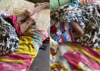 Idoso de 92 anos é encontrado abandonado e com corpo coberto por formigas