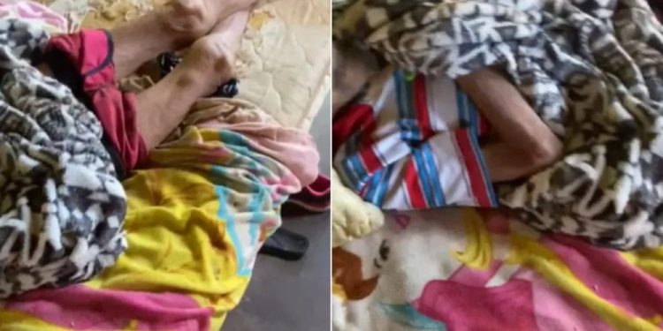 Idoso de 92 anos é encontrado abandonado e com corpo coberto por formigas