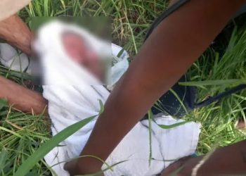Recém-nascido é encontrado abandonado com placenta e cordão umbilical
