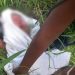 Recém-nascido é encontrado abandonado com placenta e cordão umbilical