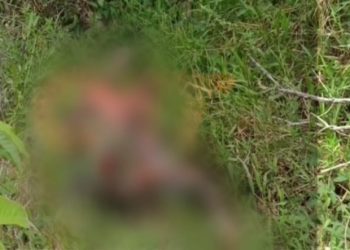 Em Manaus, após ser sequestrado, corpo de mototaxista é encontrado em decomposição