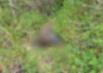 Mototaxista assassinado a tiros e facadas em Manaus, supostamente foi morto por cobrar dívida