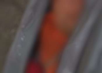 Três assaltantes desafiam pontaria da polícia e morrem no interior do Amazonas