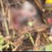 Imagens fortes: feto é encontrado dentro de tubulação em Manaus