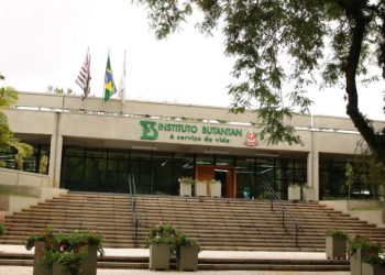 Vacina contra a dengue do Butantan atinge eficácia de 79,6%