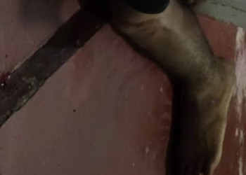 Pistoleiros invadem casa no Amazonas e executam jovem de 20 anos com vários tiros