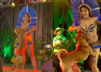 Vídeo: Cão ‘caramelo’ invade apresentação indígena e rouba a cena com dançarina