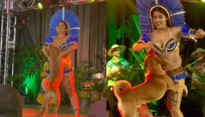 Vídeo: Cão ‘caramelo’ invade apresentação indígena e rouba a cena com dançarina