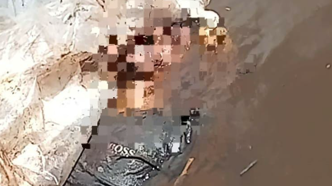 Corpo é encontrado boiando em igarapé na zona Oeste de Manaus