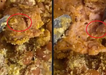 Estudantes da Ufam encontram ‘tapuru’ em comida distribuída pela instituição: ‘humilhação’