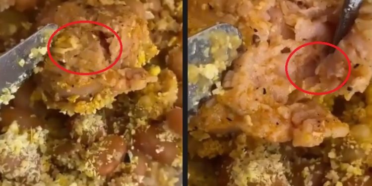 Estudantes da Ufam encontram ‘tapuru’ em comida distribuída pela instituição: ‘humilhação’