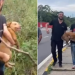 Cadelinha ‘fujona’ que escapou de clínica em Manaus é encontrada viva na Avenida das Torres