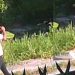 Homem sequestra menina de 10 anos em Manaus e câmeras filmam tudo; veja