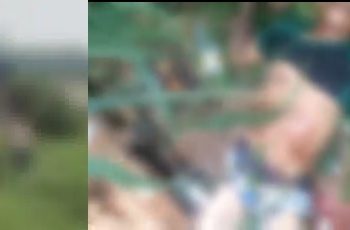 Vulgo ‘Olhão’ é encontrado morto pela mãe em terreno baldio na zona Leste de Manaus