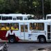 Bandidos já levaram mais de R$ 280 mil durante assaltos a ônibus em Manaus em 2022
