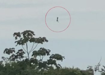 Paraquedista é flagrado rodopiando no ar após paraquedas não abrir em Manaus