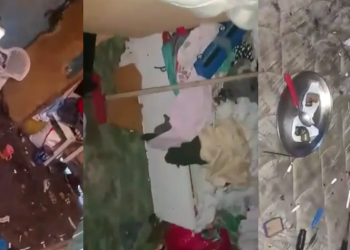 Bebê de 1 ano é resgatado de casa imunda em Manaus após ser abandonado pela própria mãe