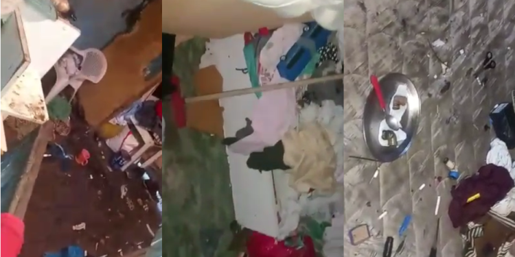 Bebê de 1 ano é resgatado de casa imunda em Manaus após ser abandonado pela própria mãe