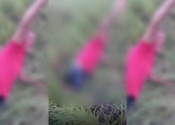 Vídeo: Depois de roubar, homem leva 35 pauladas do Tribunal do Crime e chama pela ‘mamãe’