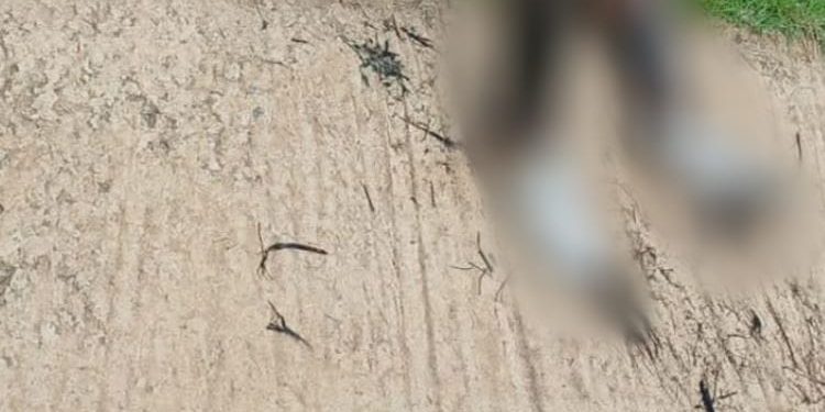 Duas vítimas morrem queimadas após explosão em Clube de Tiro na Ponta Negra