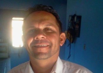 Homem morre após salvar grupo de pessoas de ataque de abelhas