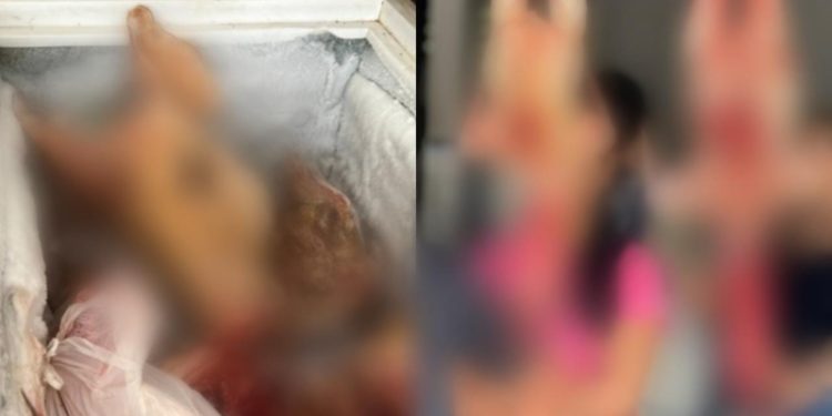Açougue clandestino é fechado e 330 kg de carnes são apreendidas em Manaus