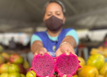 Frutas exóticas produzidas no AM ganham destaque nas Feiras de Produtos Regionais da ADS