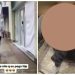 Barbeiro ataca gays em shopping, filma a ação e posta nas redes sociais