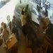 Impressionante! vídeo mostra veículo invadindo loja e atropelando pessoas; veja