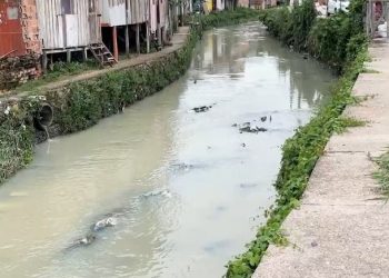 Homem é morto durante tiroteio e corpo jogado em igarapé de Manaus; ele some