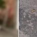 Cena forte: ‘Jhon Doido’ morre com 10 tiros após parar na rua em Manaus para conversar com amigos