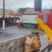 Frigideira elétrica fica ligada durante a madrugada e causa incêndio em lanchonete de Manaus