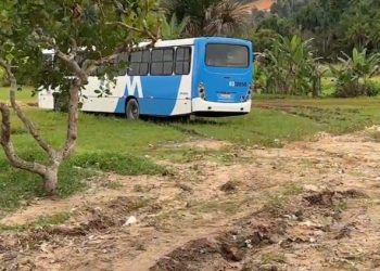 Ônibus da linha 446 perde o controle e invade sítio em Manaus; uma mulher fica ferida