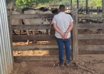 Após ir a velório de fazendeiro, jovem é preso tentando furtar gado do falecido