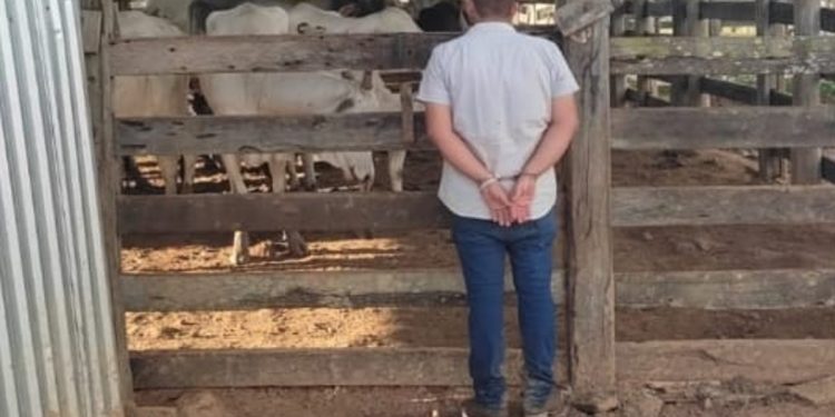 Após ir a velório de fazendeiro, jovem é preso tentando furtar gado do falecido