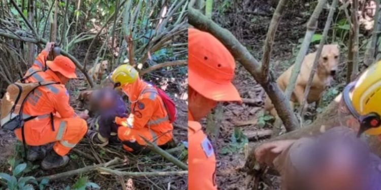 Idoso se perde em mata fechada e é encontrado graças ao seu cachorro